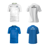 Tee-shirt Mizuno pour hommes